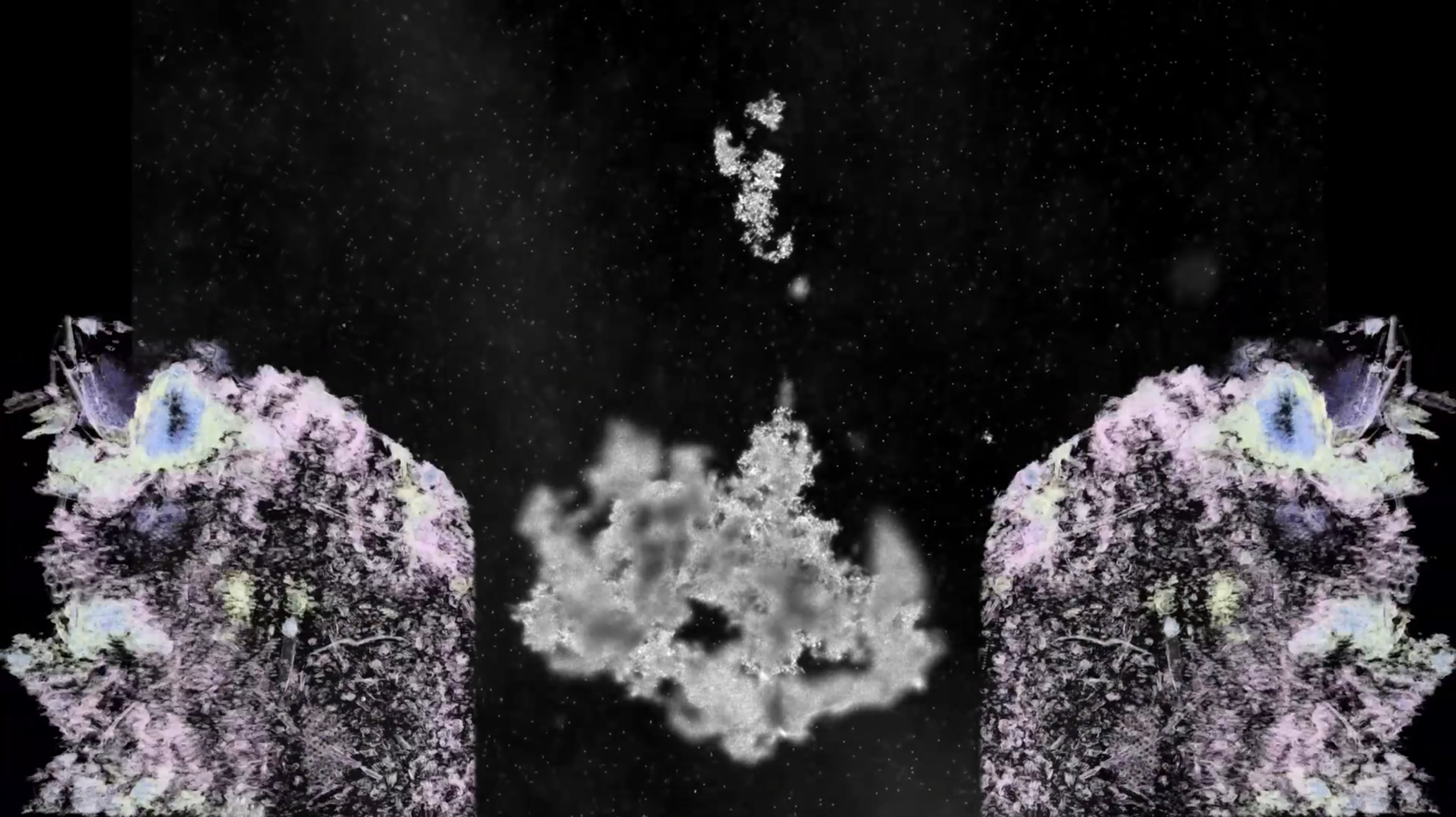 Falling plankton